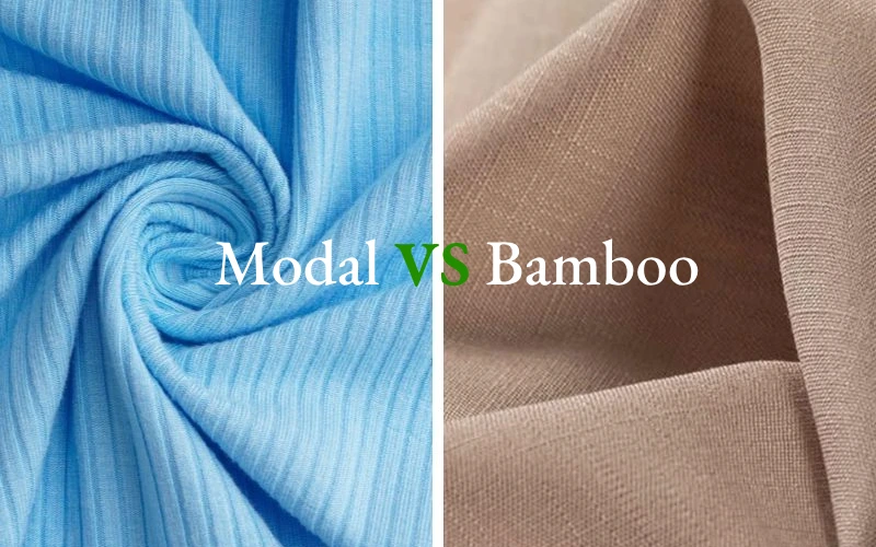modal vs bamboo