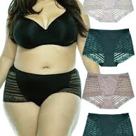 Plus Size Women's Lace Underwear