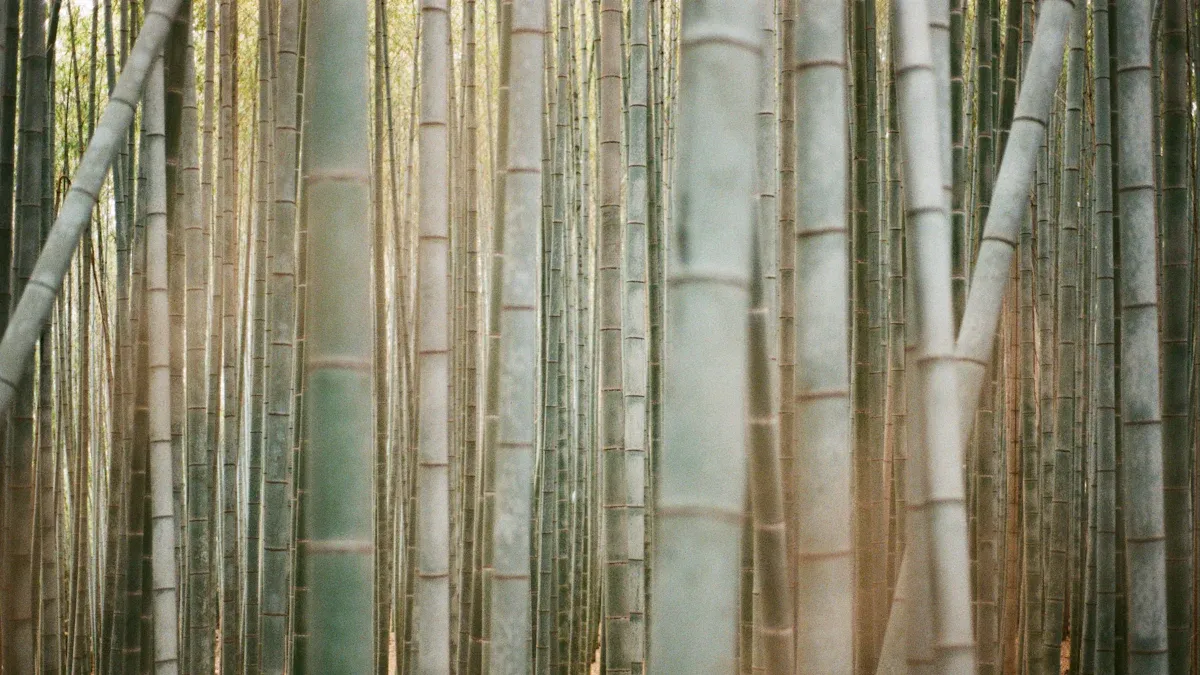 Environmental Impact