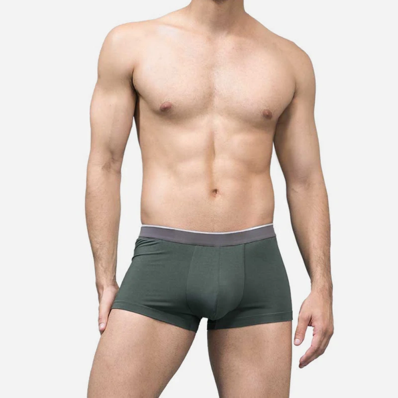 mens bamboo trunks underwear