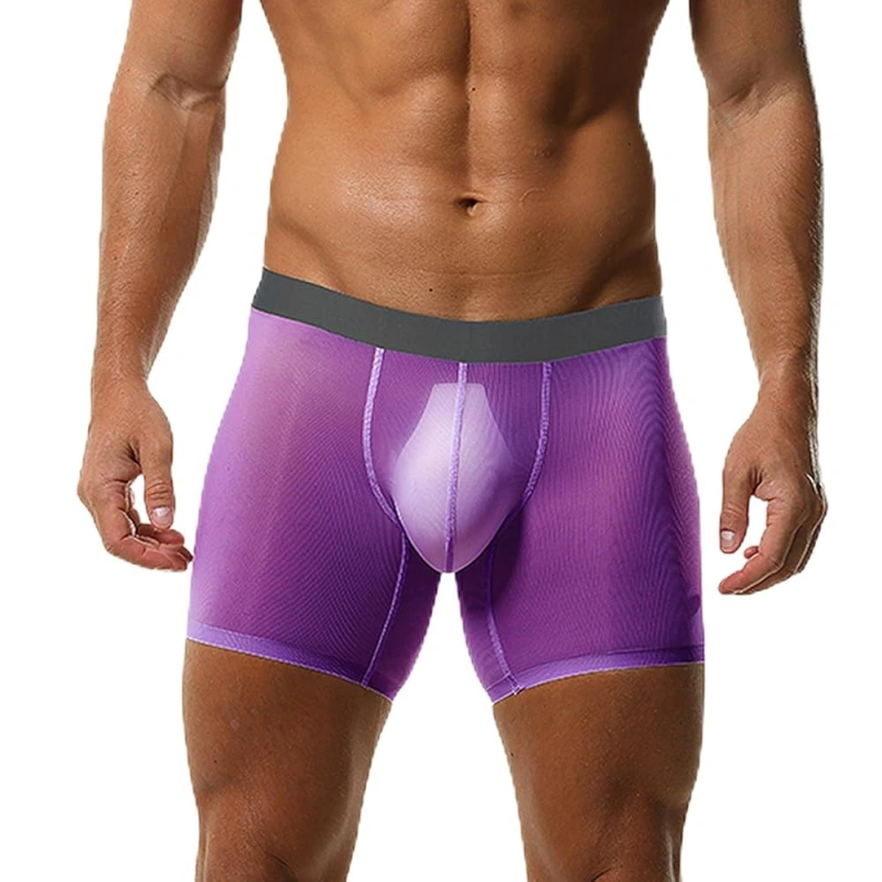 mens sheer nylon underwear