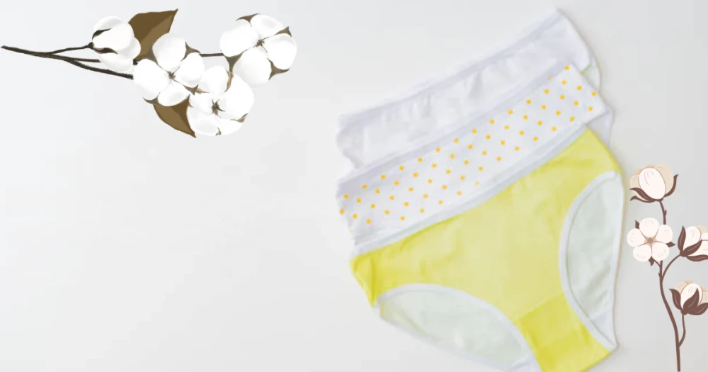 Lace vs Cotton Underwear