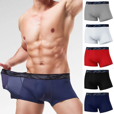 men's sheer silk underwear