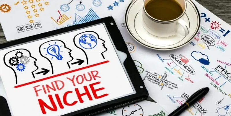 identify your niche and target market